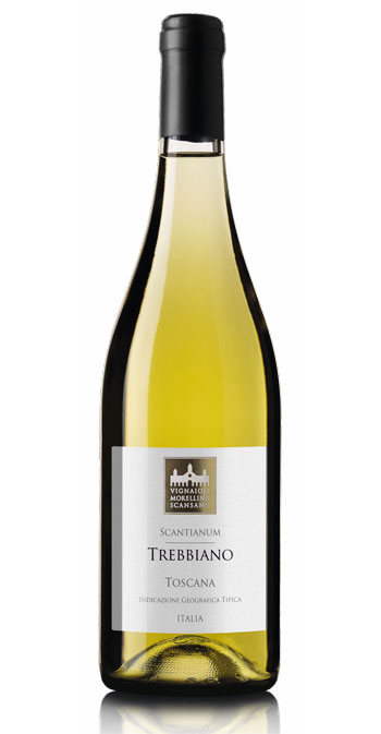 Trebbiano - Vignaioli Scansano